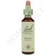 Bach Flower Remedies for Animals - Beech